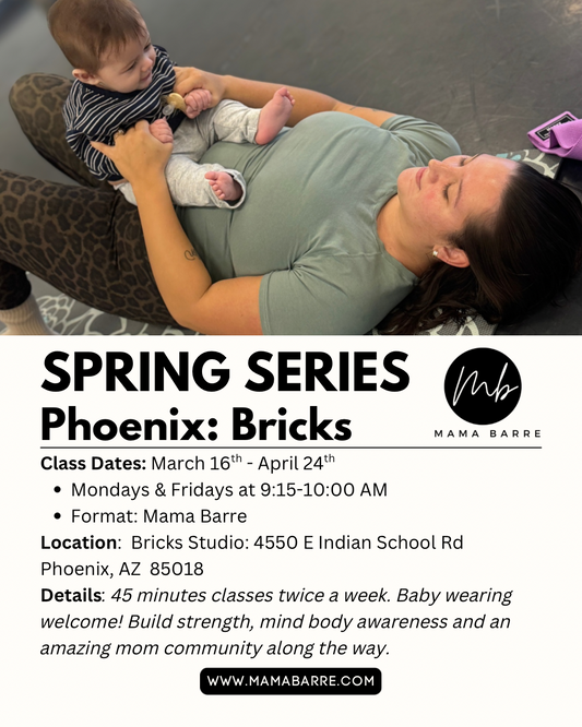 Spring Series: Bricks Phoenix 3/16-4/24