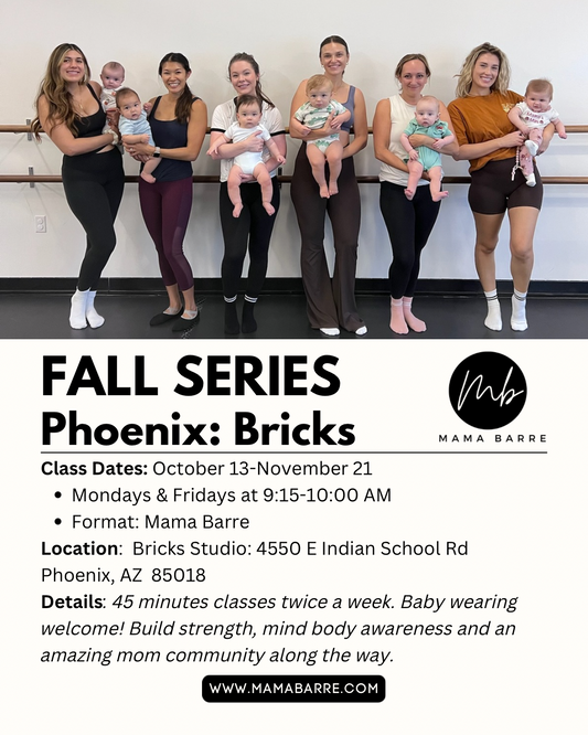 Fall Series: Bricks Phoenix 10/13-11/21