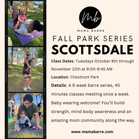 Park Fall Series: Scottsdale