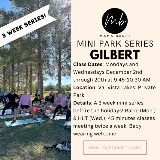 Park Mini Series: Gilbert 12/2-12/20