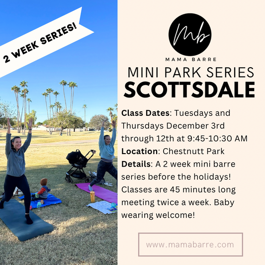 Park Mini Series: Scottsdale 12/3-12/12