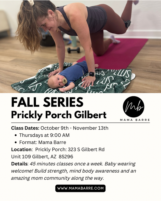 Fall Series: Indoor Gilbert 10/9-11/13