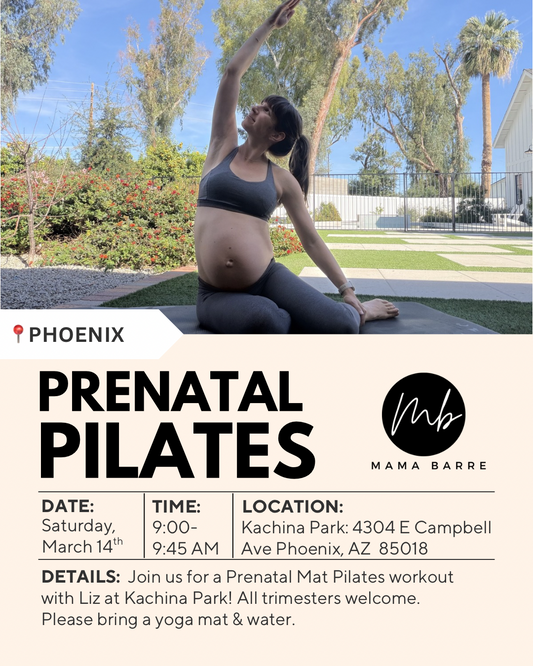 Prenatal Pilates 3/14