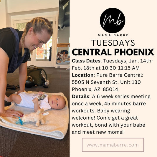 Winter Series: Central Phoenix Tuesdays 1/14-2/18